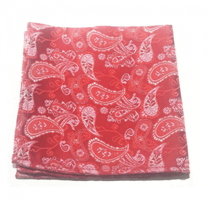pajarita y panuelo roja estampado cachemire 2